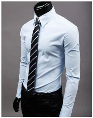 Antares | Elegantes Herrenhemd für Herren