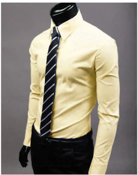 Antares | Elegantes Herrenhemd für Herren