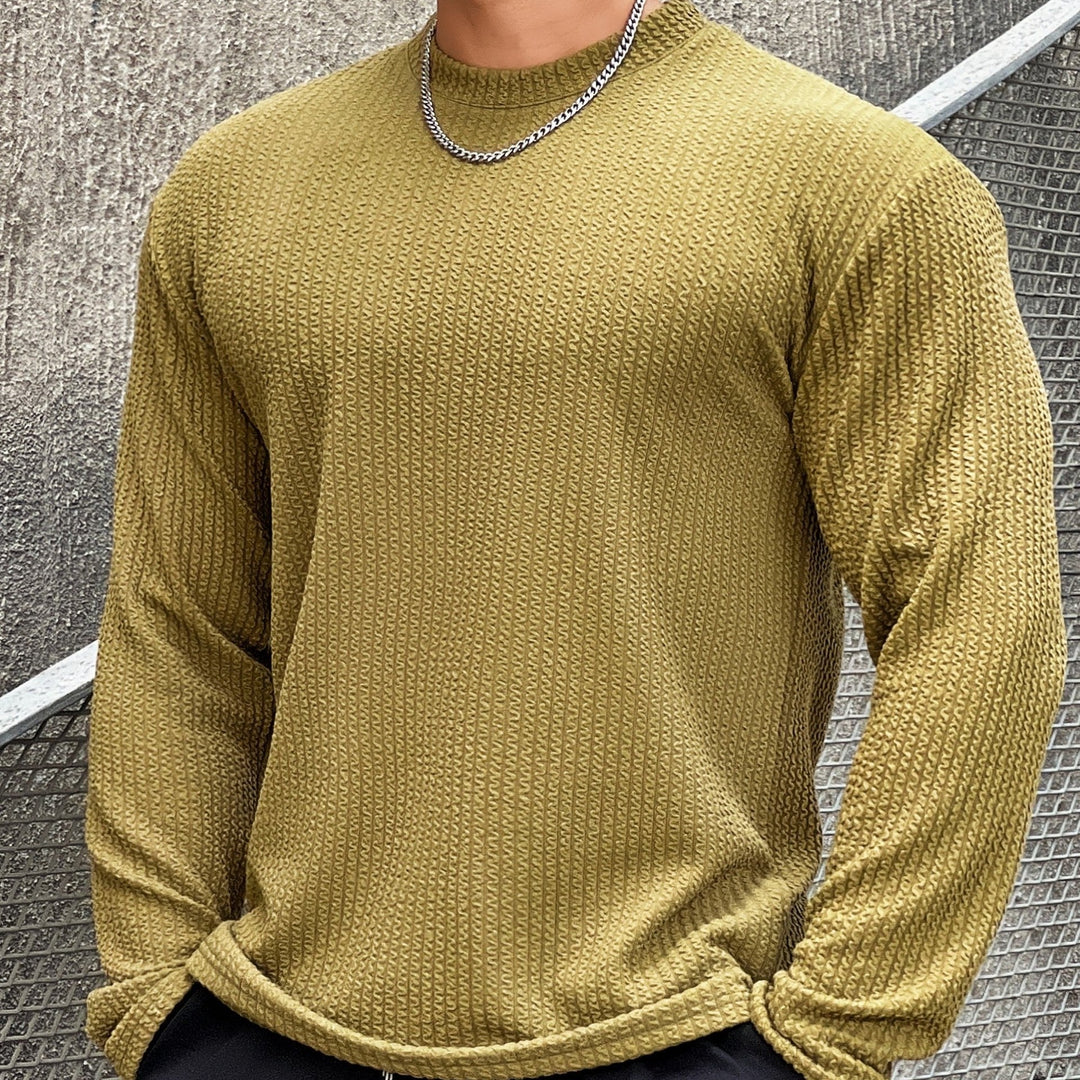 Caius | Rundhals Strickpullover für Herren